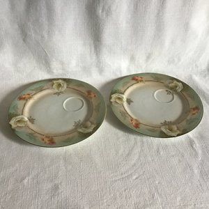 R S Hand Painted Porcelain Luncheon Plates Set of 2